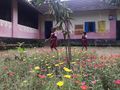 school garden