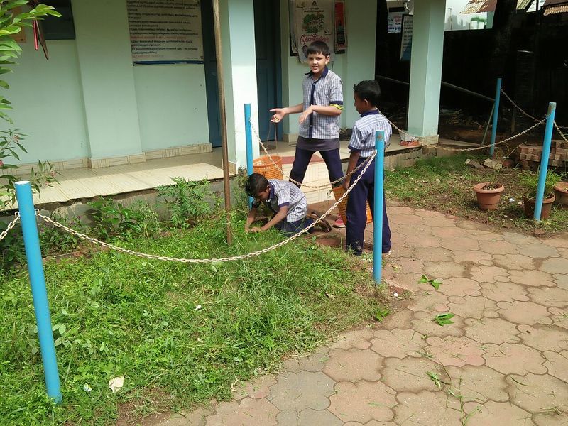 പ്രമാണം:Cleaning of school campus 8.jpg