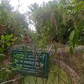 43004 GHSS Thonnakal biodiversity park.jpg