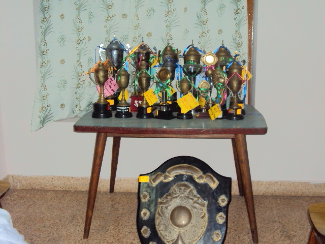 പ്രമാണം:Fair 350522.jpg