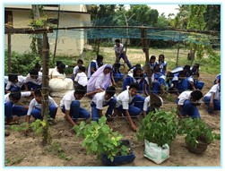 Farmersday 16 35052 (2).jpg