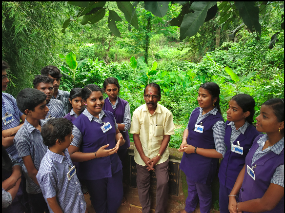 പ്രമാണം:29010 nn.png