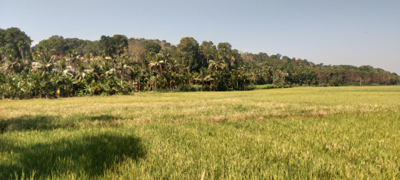 മണിയന്ത്രം ഭൂപ്രകൃതി