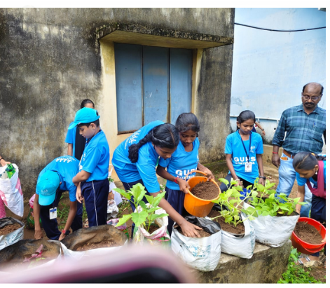 പ്രമാണം:21732 third.png