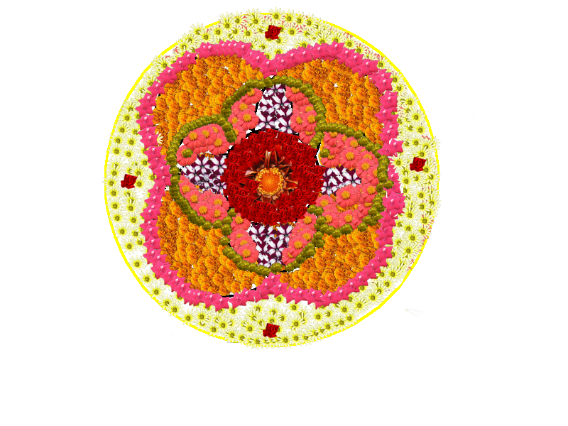 പ്രമാണം:41008 klm dp2019 1.png