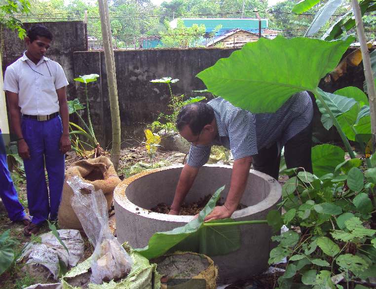 പ്രമാണം:Compost 35052 3.png