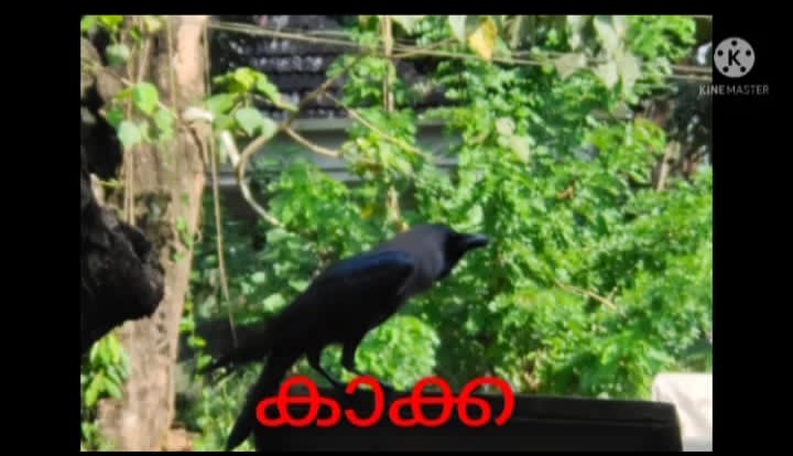 പ്രമാണം:18431 2021-22 academic year 46.jpg