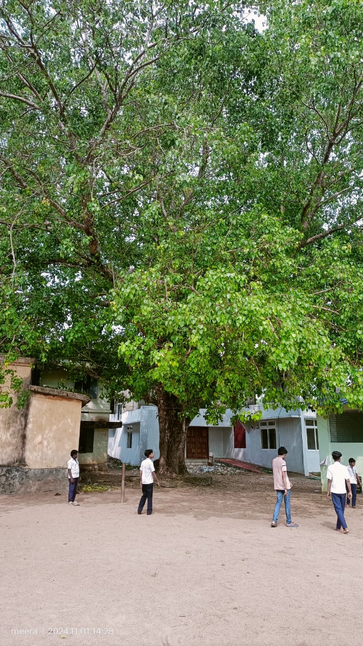 ആല്മരവും കൂട്ടുകാരും