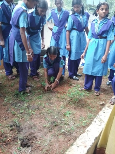 പ്രമാണം:Guide 25045.jpg