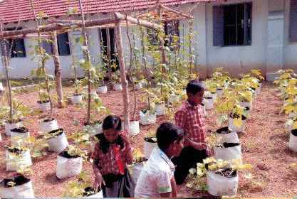 പ്രമാണം:41326 school.jpeg