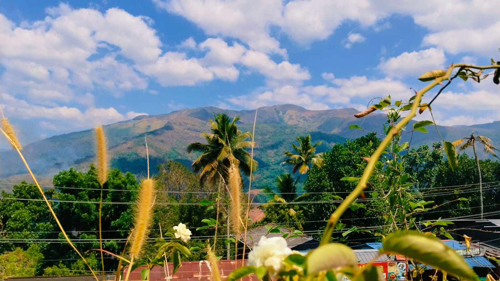 പെരുവന്താനം