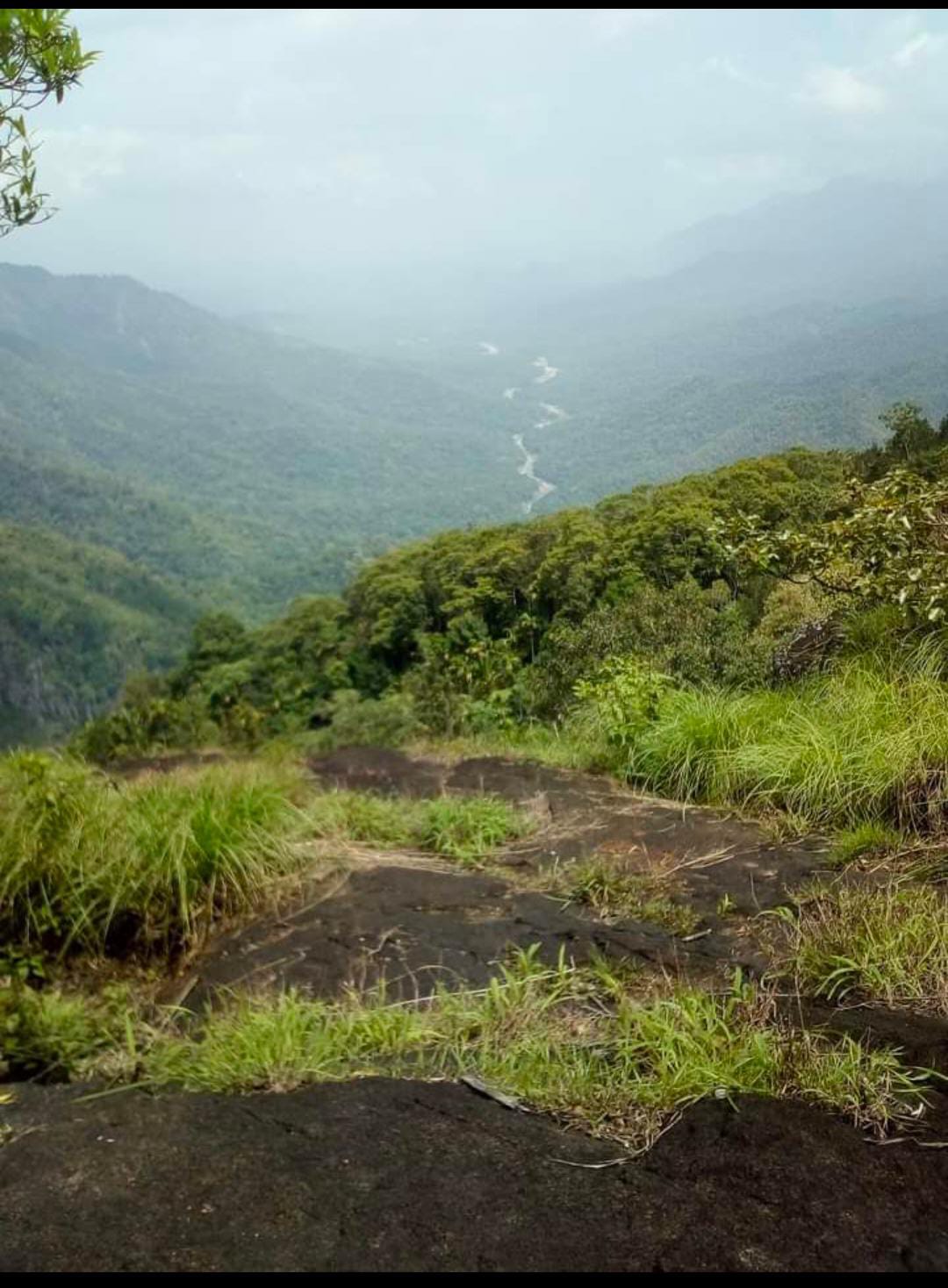 നീലിമലയിൽ നിന്നുംചാലിയാർ ദൃശ്യം