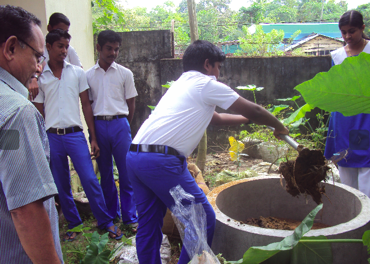 പ്രമാണം:Compost 35052 2.png