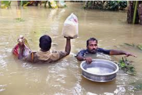 പ്രമാണം:WhatsApp Image 2022-03-13 at 2.50.59 PM.jpg