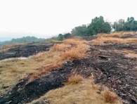 പ്രമാണം:44324 Kadumbepara.png