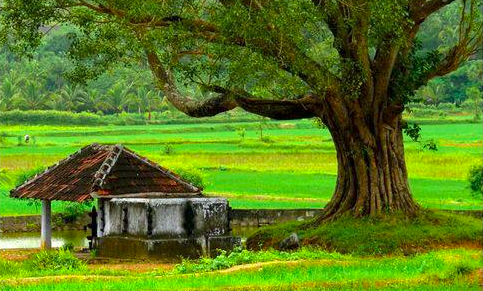 പ്രമാണം:47555 ENTE GRAMAM.png