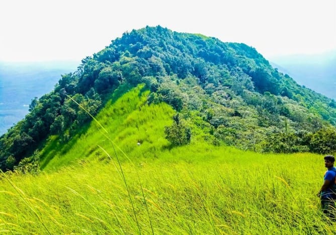 ചെക്കുന്ന മല