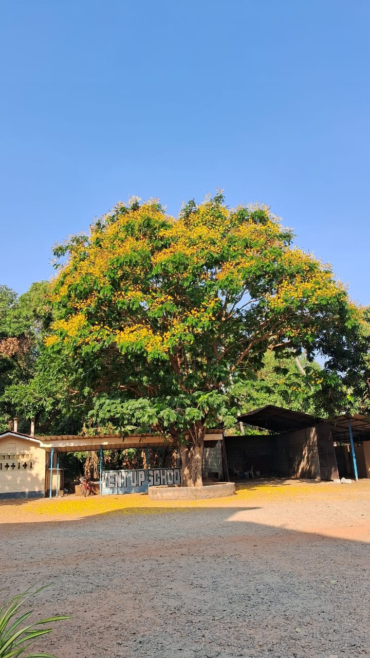 അയ്യന്തോൾ