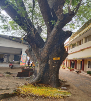 പ്രമാണം:School code- 24062.jpg