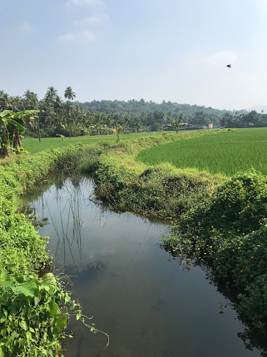 കുറ്റൂർ നോർത്ത്