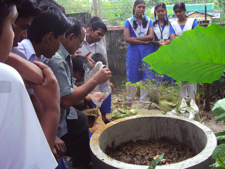 പ്രമാണം:Compost 35052 4.png