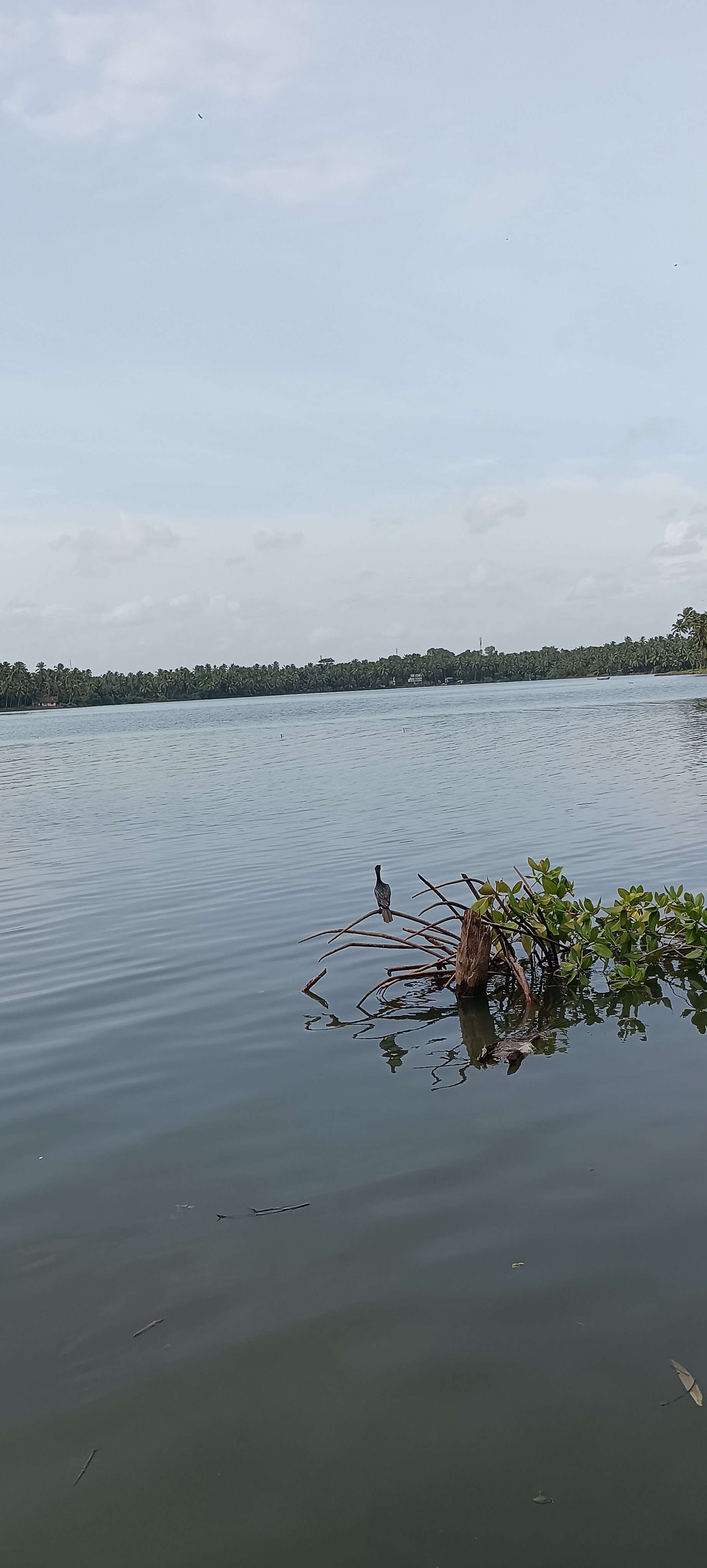 മുരുകല്ലിങ്ങലിൽ നിന്നുള്ള പുഴയോരക്കാഴ്ച