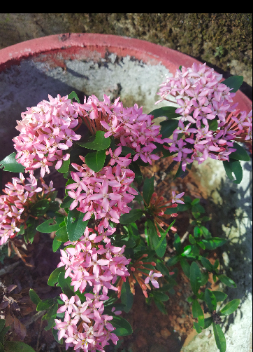 പ്രമാണം:Screenshot from 2022-03-08 22-25-34.png