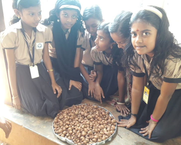 പ്രമാണം:Screenshot from 2022-01-29 21-48-01.png