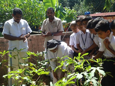 organic farming