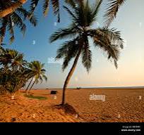 പ്രമാണം:Pothenthope beach.jpeg