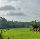 പ്രമാണം:Images S.V.A.U.P(1).jpg