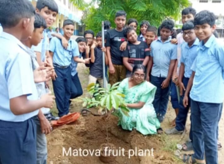 പ്രമാണം:27009 garden.jpeg