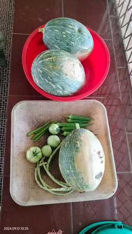 402015 vegetables 2.jpg