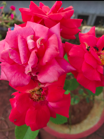 പ്രമാണം:Screenshot from 2022-03-08 22-27-06.png