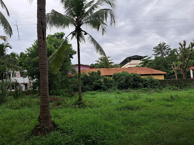 പ്രമാണം:18666 .jpg