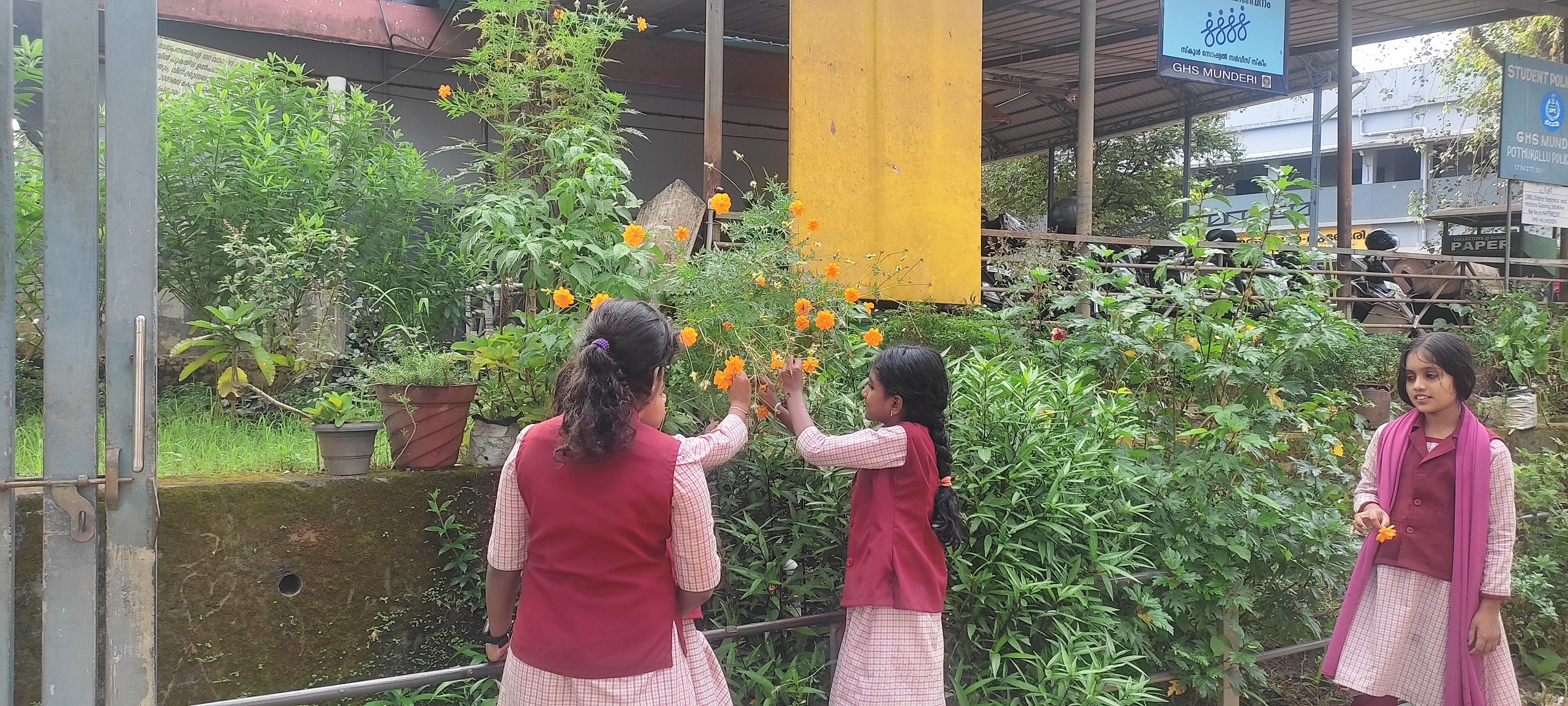 പൂന്തോട്ടം