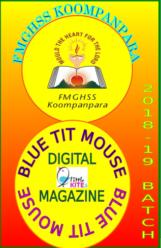 പ്രമാണം:Digital magazine 1.png