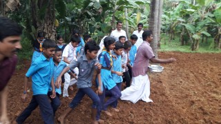 പ്രമാണം:Ellu (1).jpg