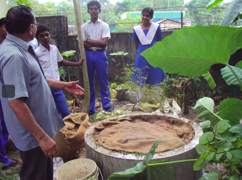 പ്രമാണം:Compost 35052 5.png