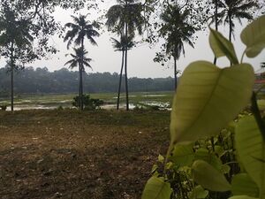 1012719 ENTE GRAMAM.jpg