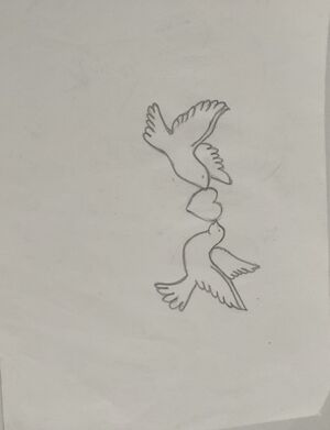 11021-Ayshath Misbana8F3.jpeg