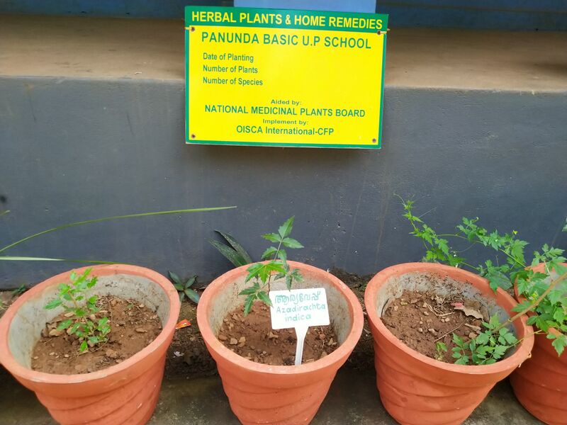 പ്രമാണം:14365 herbal garden.jpg