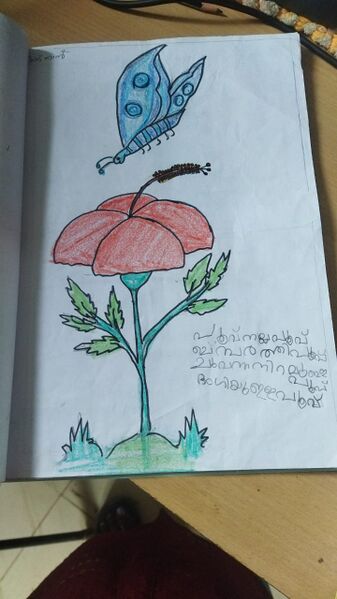 പ്രമാണം:15074-WYD-KUNJ MUHAMMED ADHNAN.jpeg