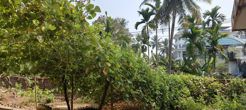 പ്രമാണം:16002 award 5.jpeg