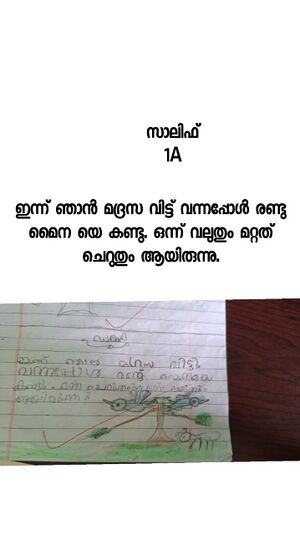 18310-MLP-KUNJ-SALIF B.JPG