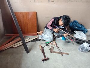 21068 pkd aseel 1.jpg