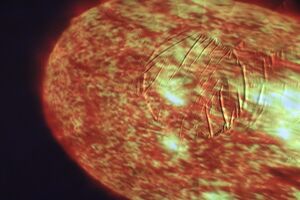 22022 Planitorium Classroom show24-25.JPG