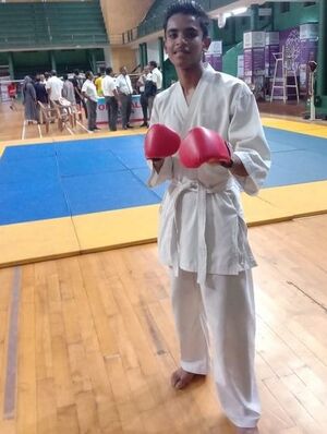 22071 TSR karate.jpg