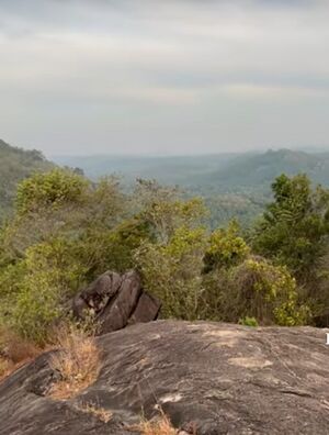 22451 muniyara poomala..jpg