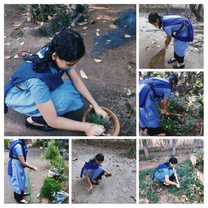 25099 guides camp.jpeg